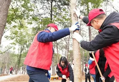 圖片11 圖片11